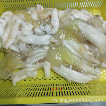 ไข่ปลาหมึก Illex Squid แช่แข็ง